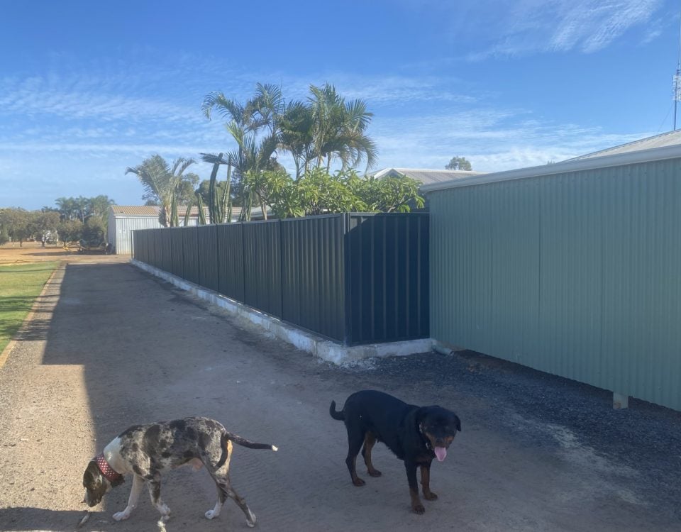 Limestone wall and Fence installation