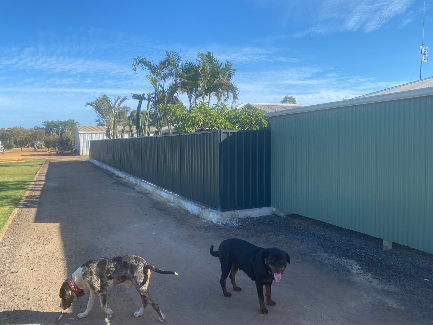 Limestone wall and Fence installation